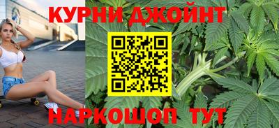 гидра Шахты