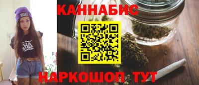 гидра Шахты