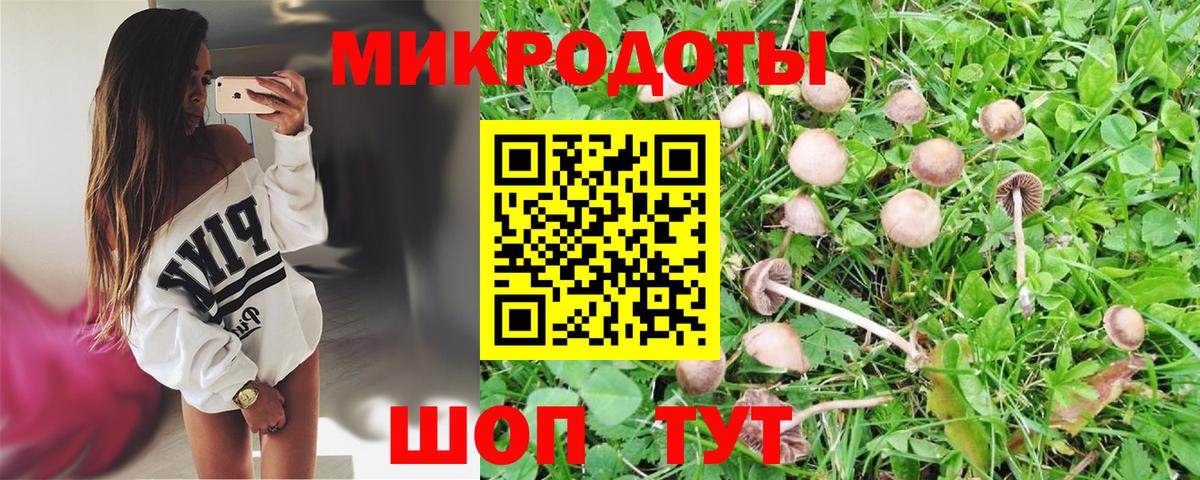 Галлюциногенные грибы Magic Shrooms  Вход с VPN  Ростов Великий 