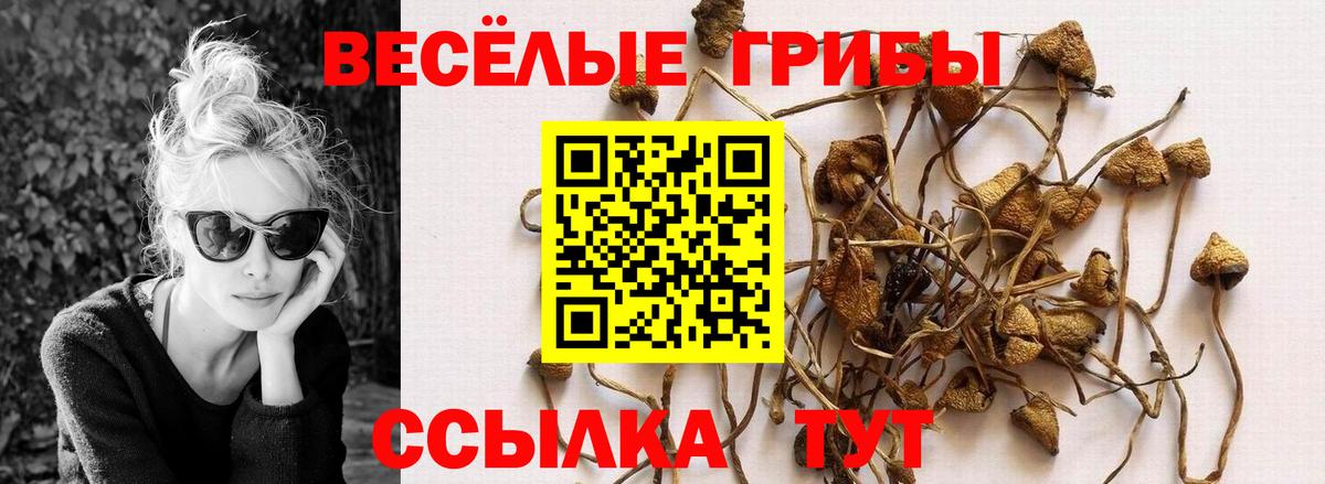 Галлюциногенные грибы GOLDEN TEACHER Ростов Великий